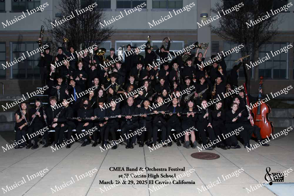 Musical Images